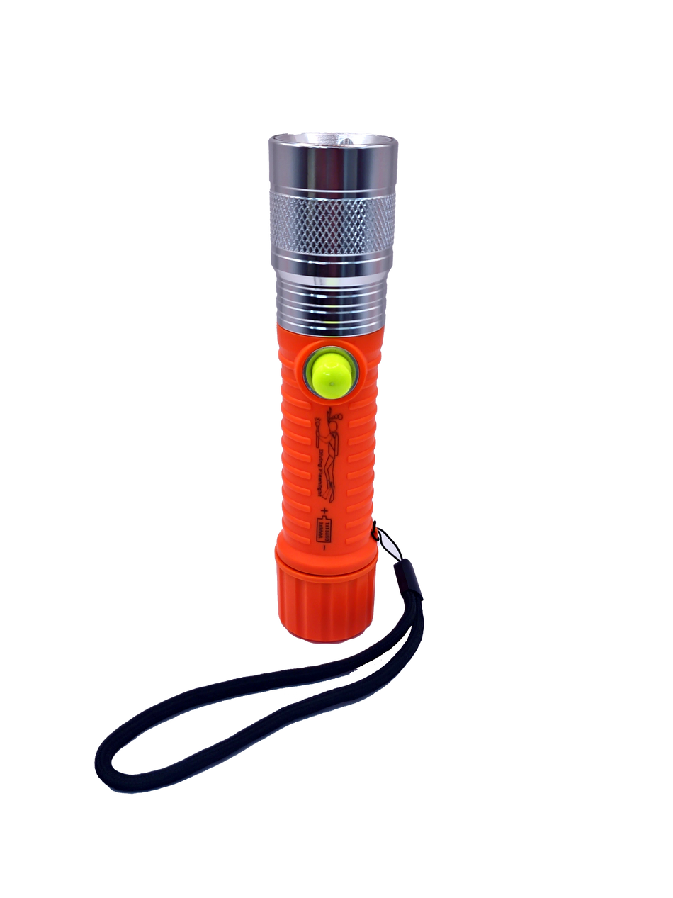 Waterproof Torch with Batteries